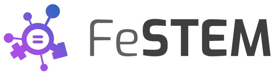 FeSTEM Community Platform